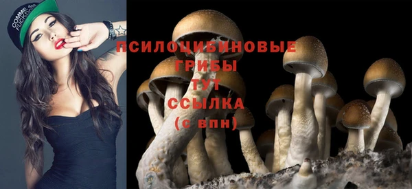 MDMA Армянск