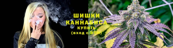 кокс Арсеньев