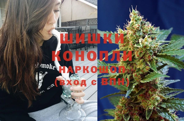 кокс Арсеньев