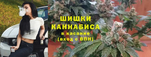 кокс Арсеньев